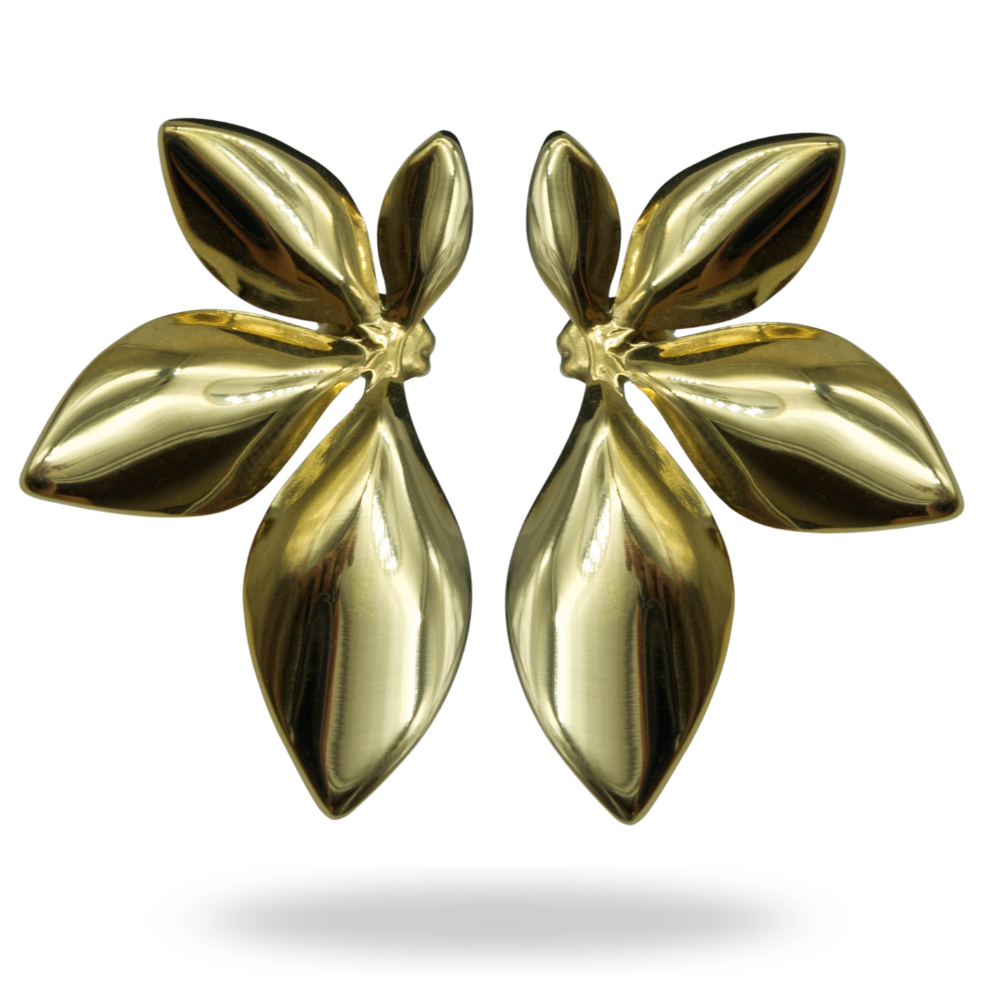 Aretes Dalia