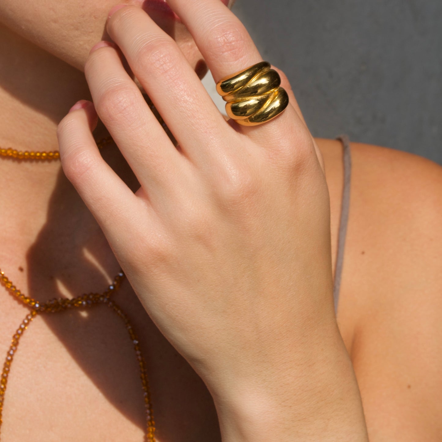 Anillo Mich