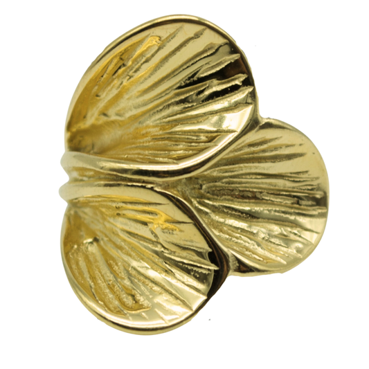 Anillo Sahara