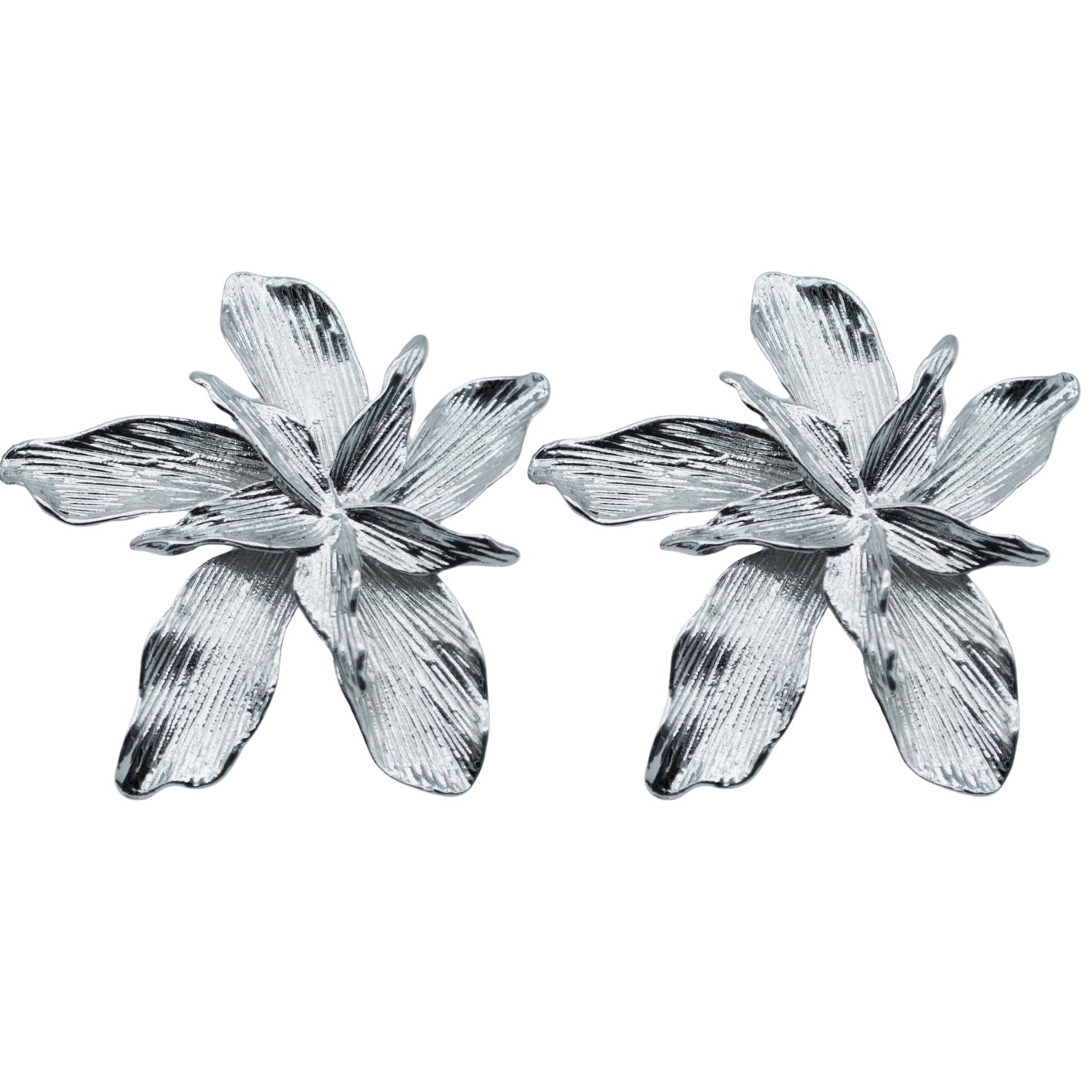 Aretes Florencia