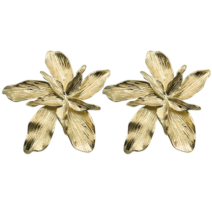 Aretes Florencia