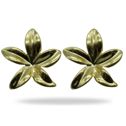 Aretes Amapola