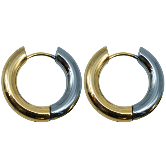 Aretes Caro Bicolor
