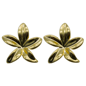 Aretes Amapola