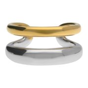 Anillo Bicolor