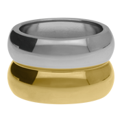 Mich Two-Tone Ring