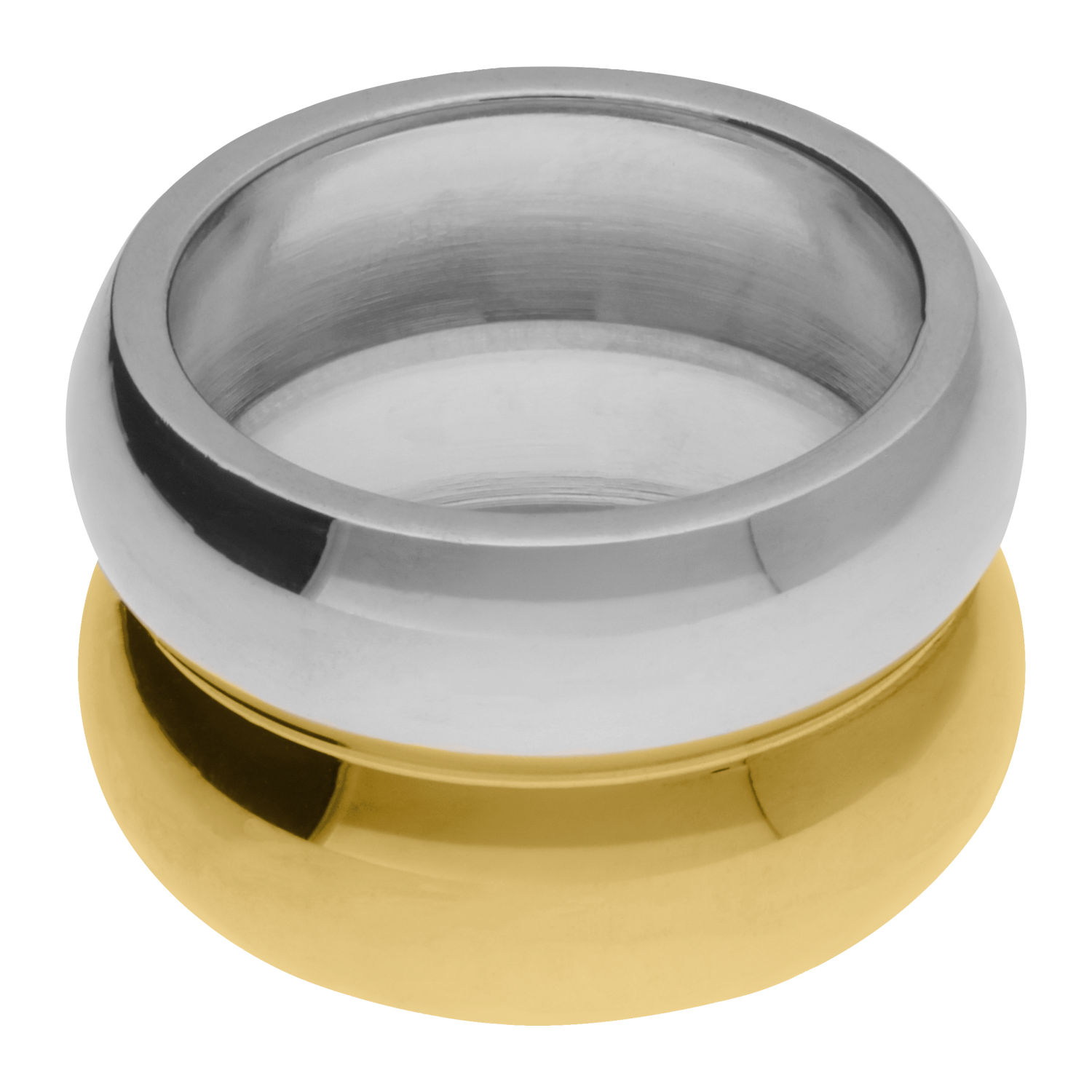 Mich Two-Tone Ring
