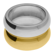 Mich Two-Tone Ring