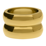 Anillo Mich