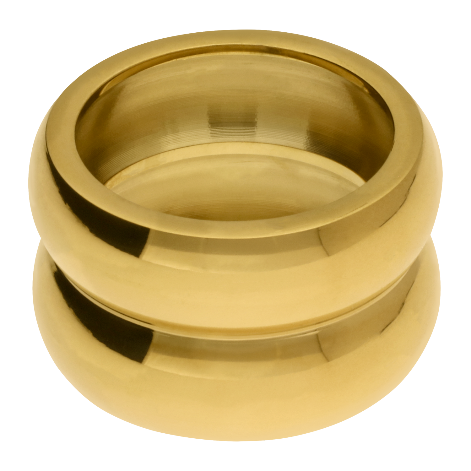 Anillo Mich