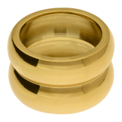 Anillo Mich
