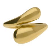 Anillo Unione