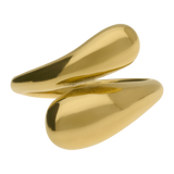 Anillo Unione