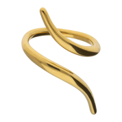 Anillo Loreto