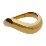 Anillo Tundra