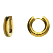 Expensive Earrings