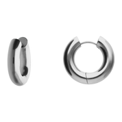 Expensive Earrings