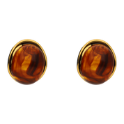 Aretes Resina