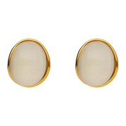 Aretes Resina