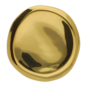 Pin Boton