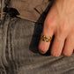 Anillo Fugaz